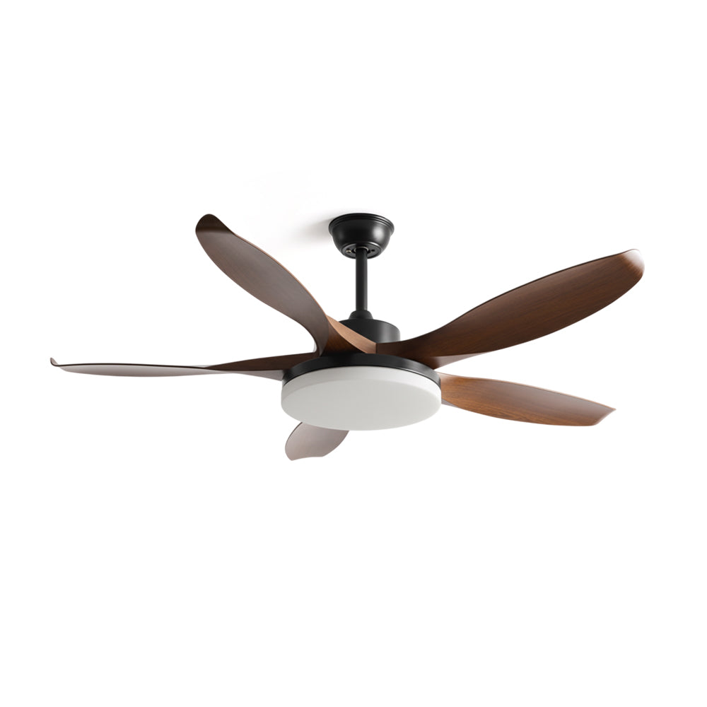 Splenda Ceiling Fan Light