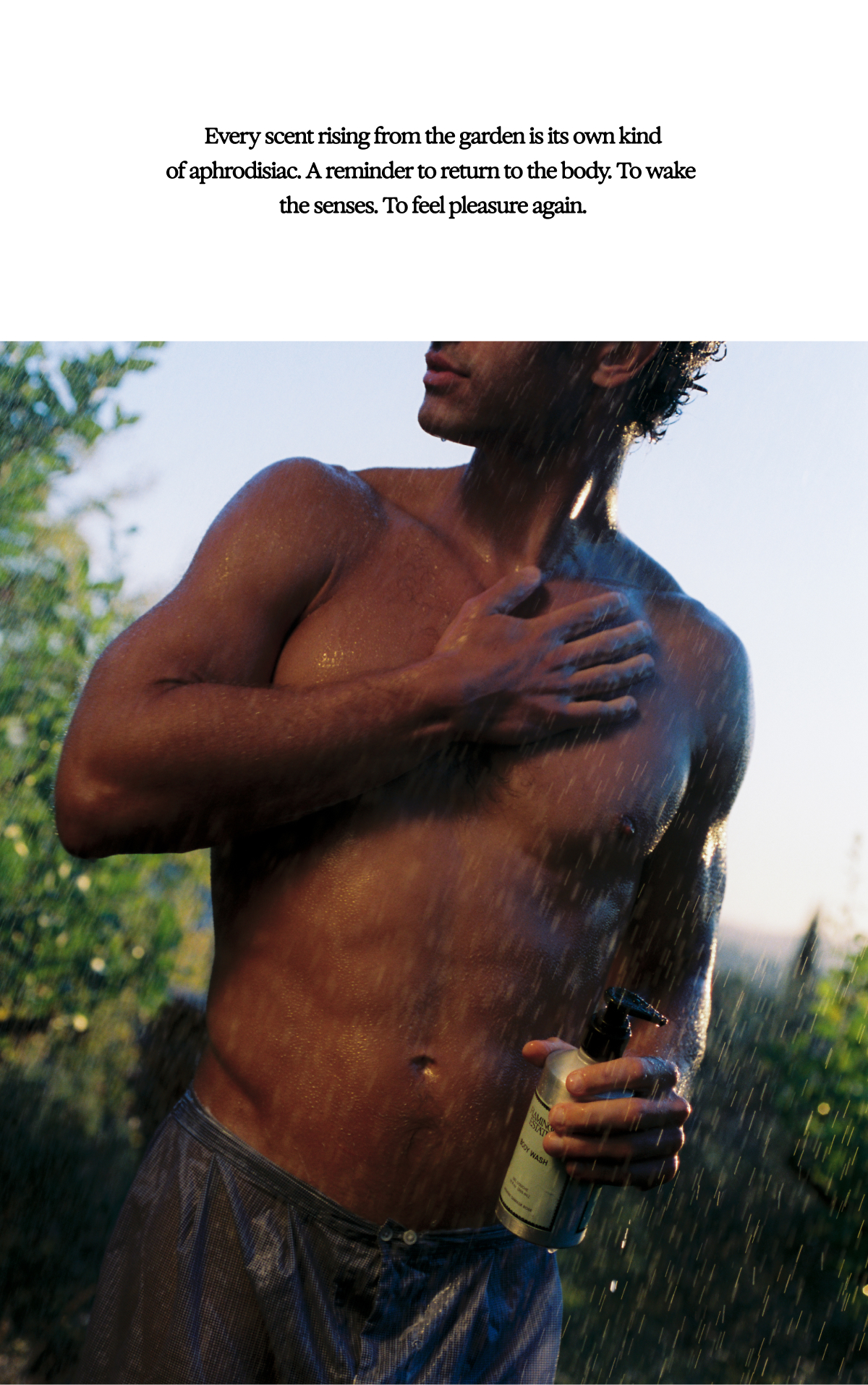 The Sensual Garden