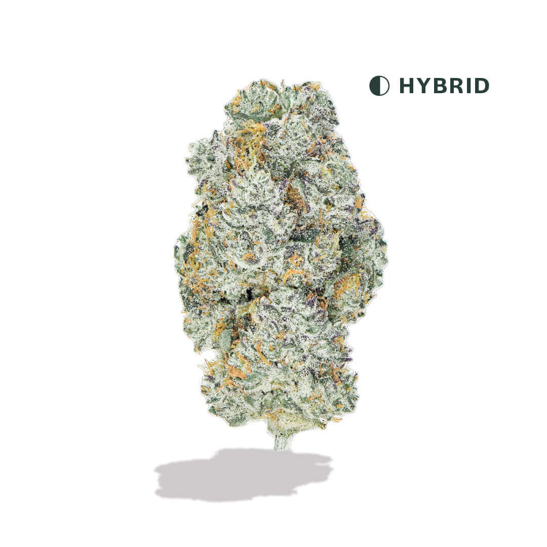Image of Lemon Cherry Gelato THCA Flower