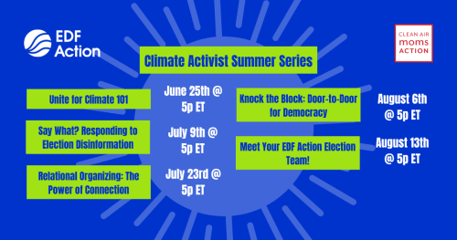 Climate Activist Summer Series