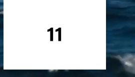 11