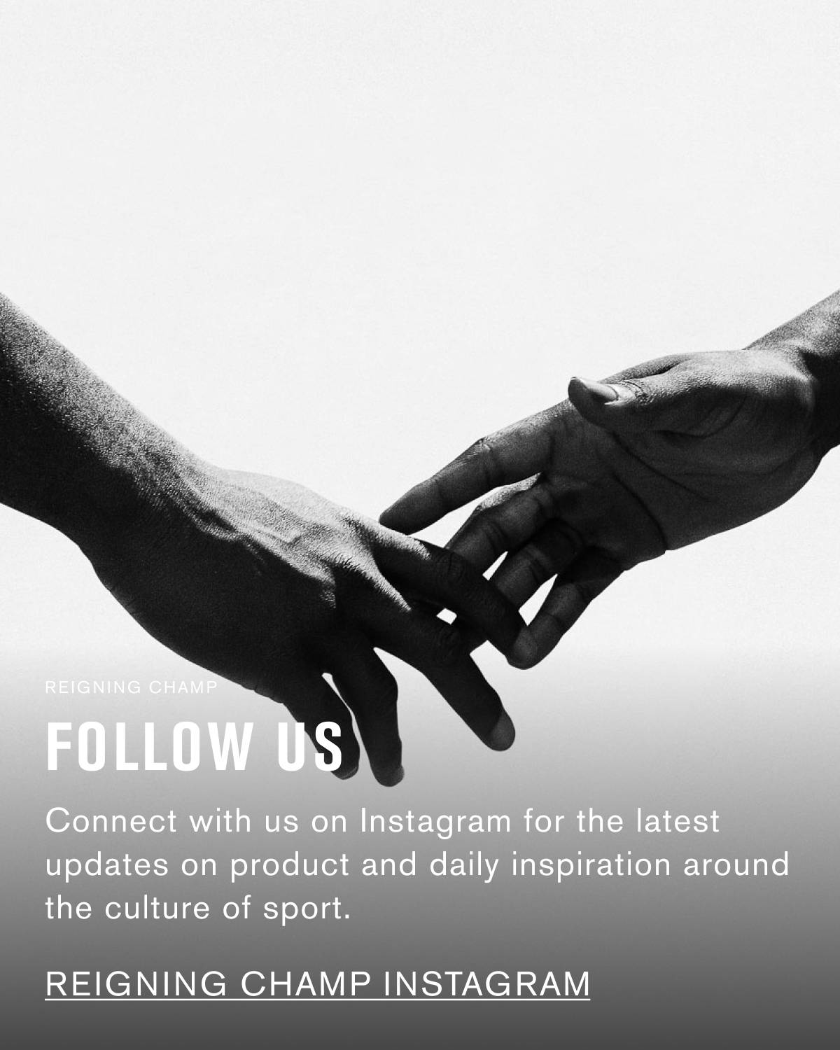 FOLLOW US