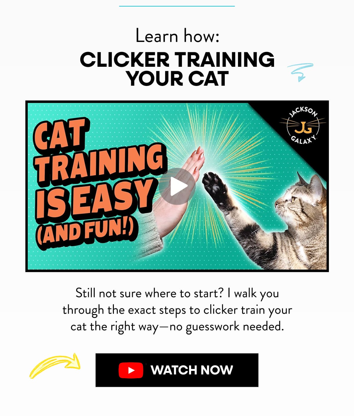 Clicker training education