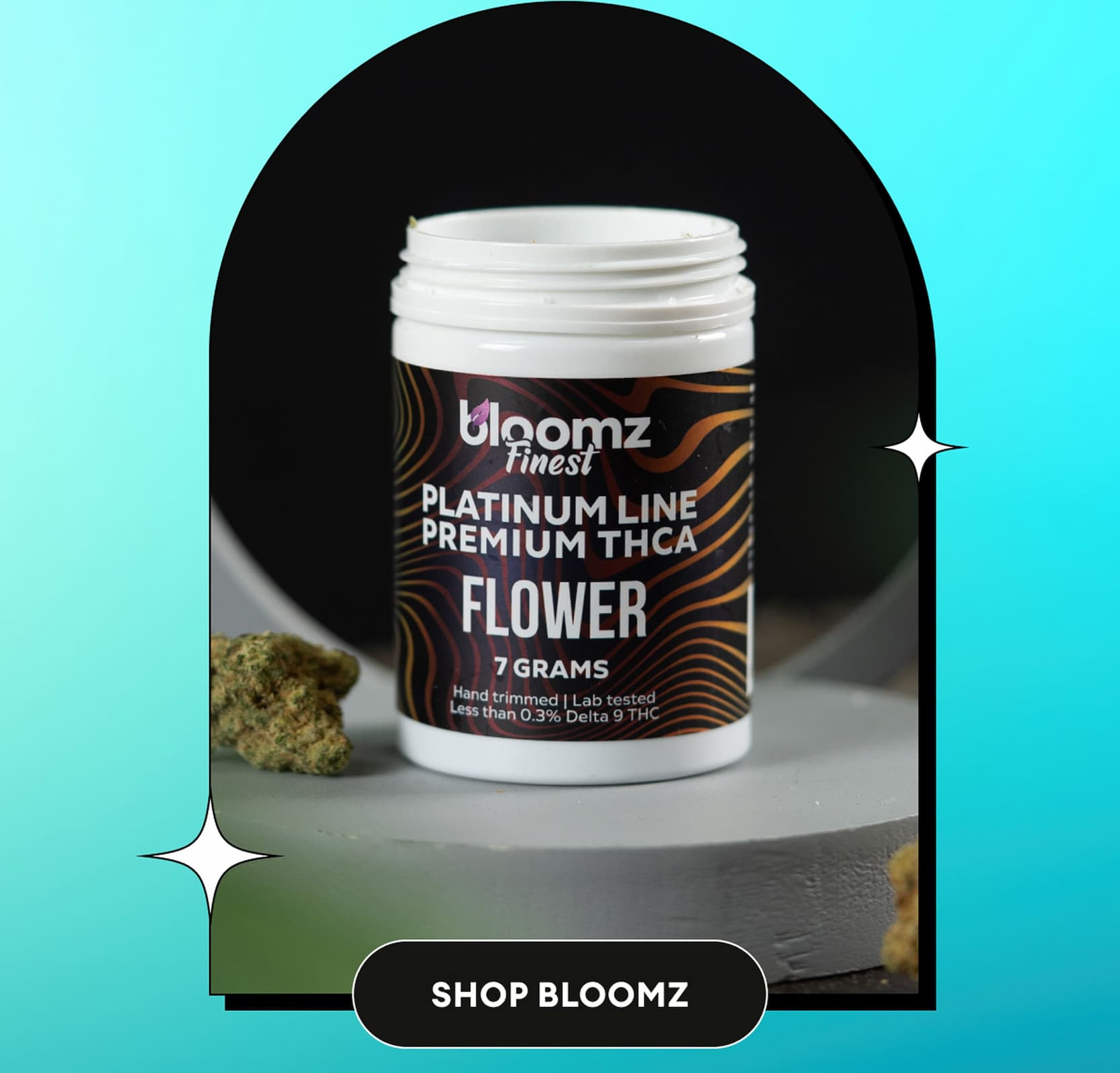 Shop Bloomz