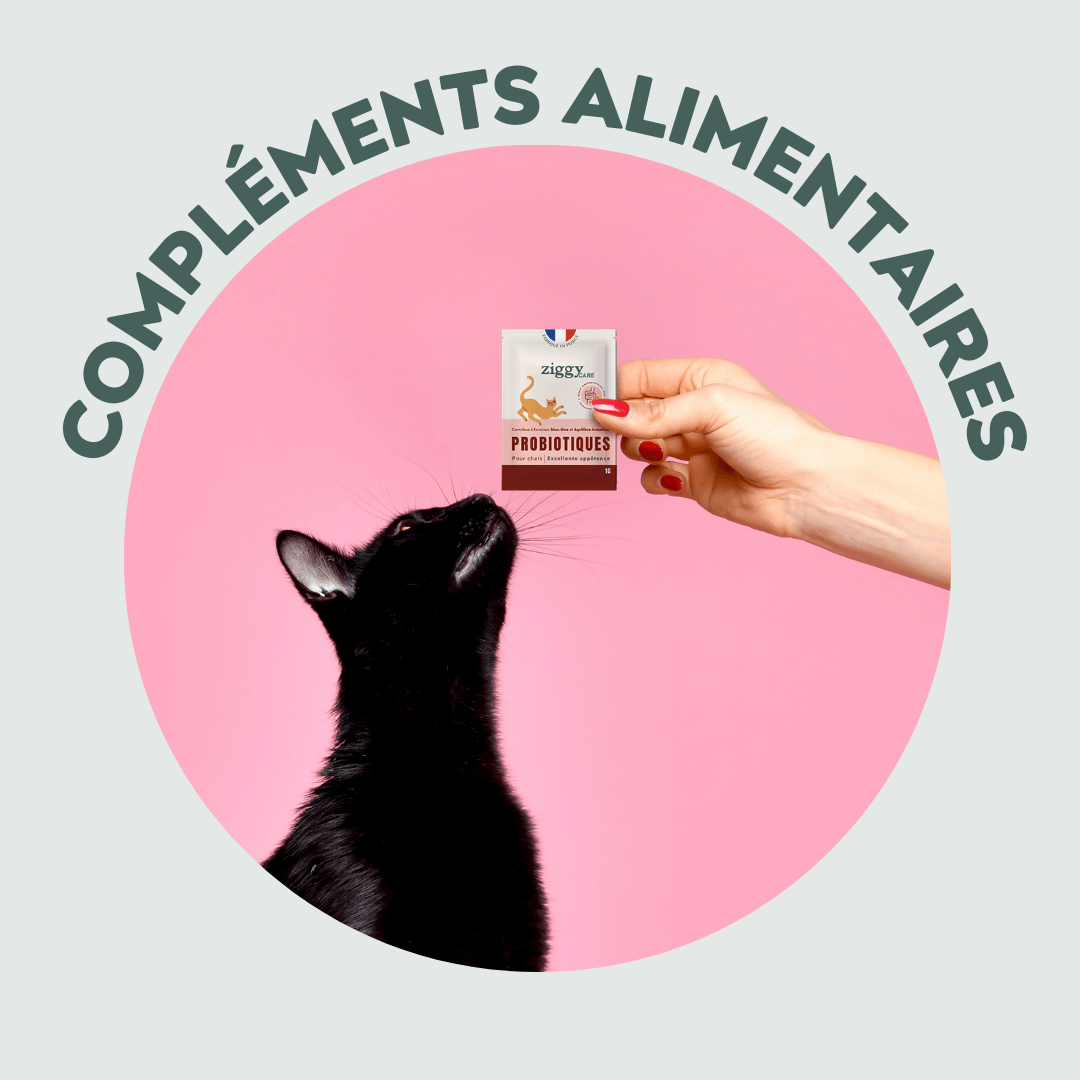 Compléments alimentaires