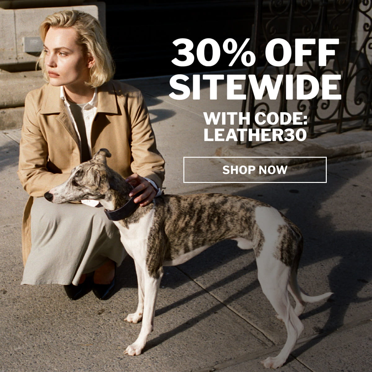 Shop Now