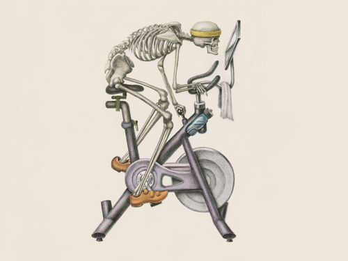 Skeleton using an elliptical machine.
