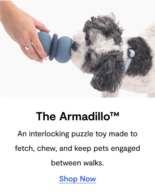 The Armadillo™