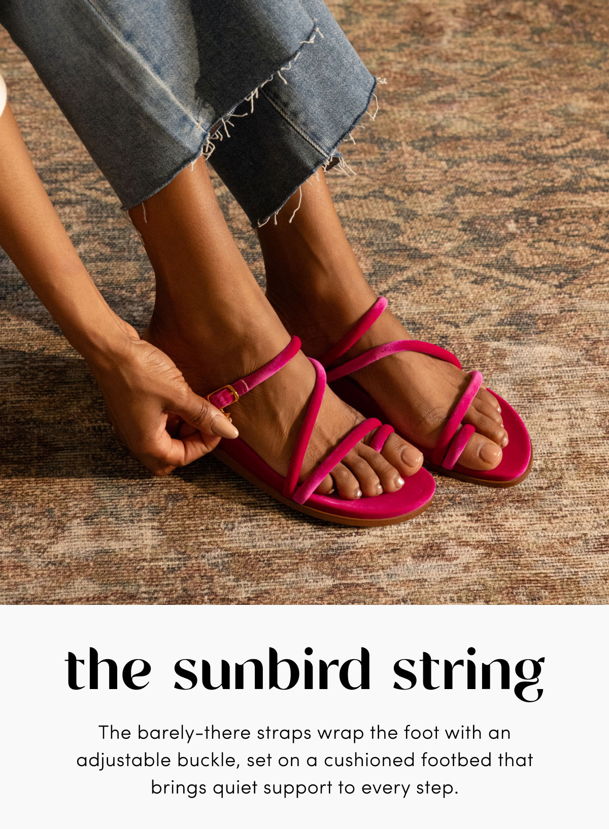 The Sundbird String