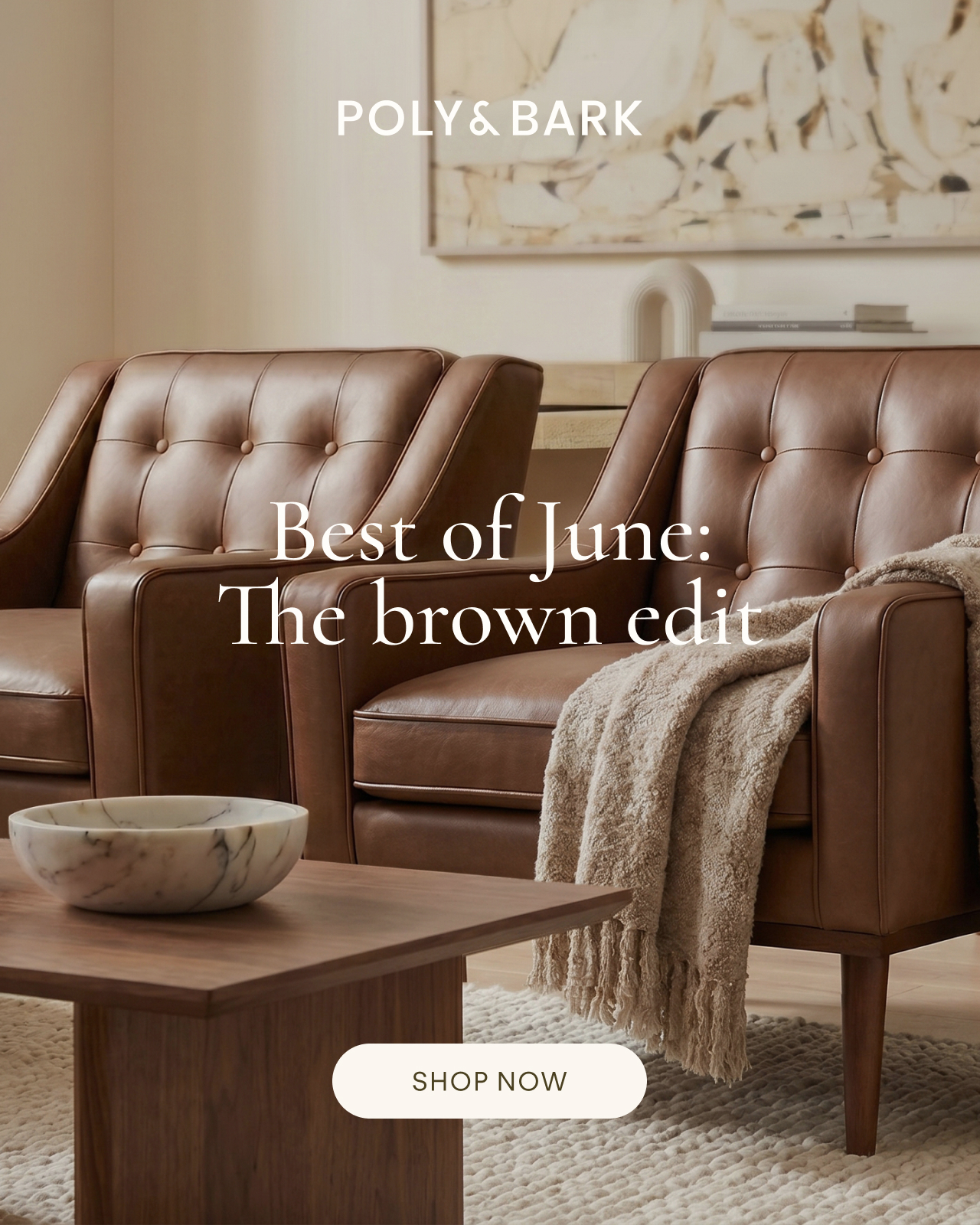 SHOP BROWN FURNITURE