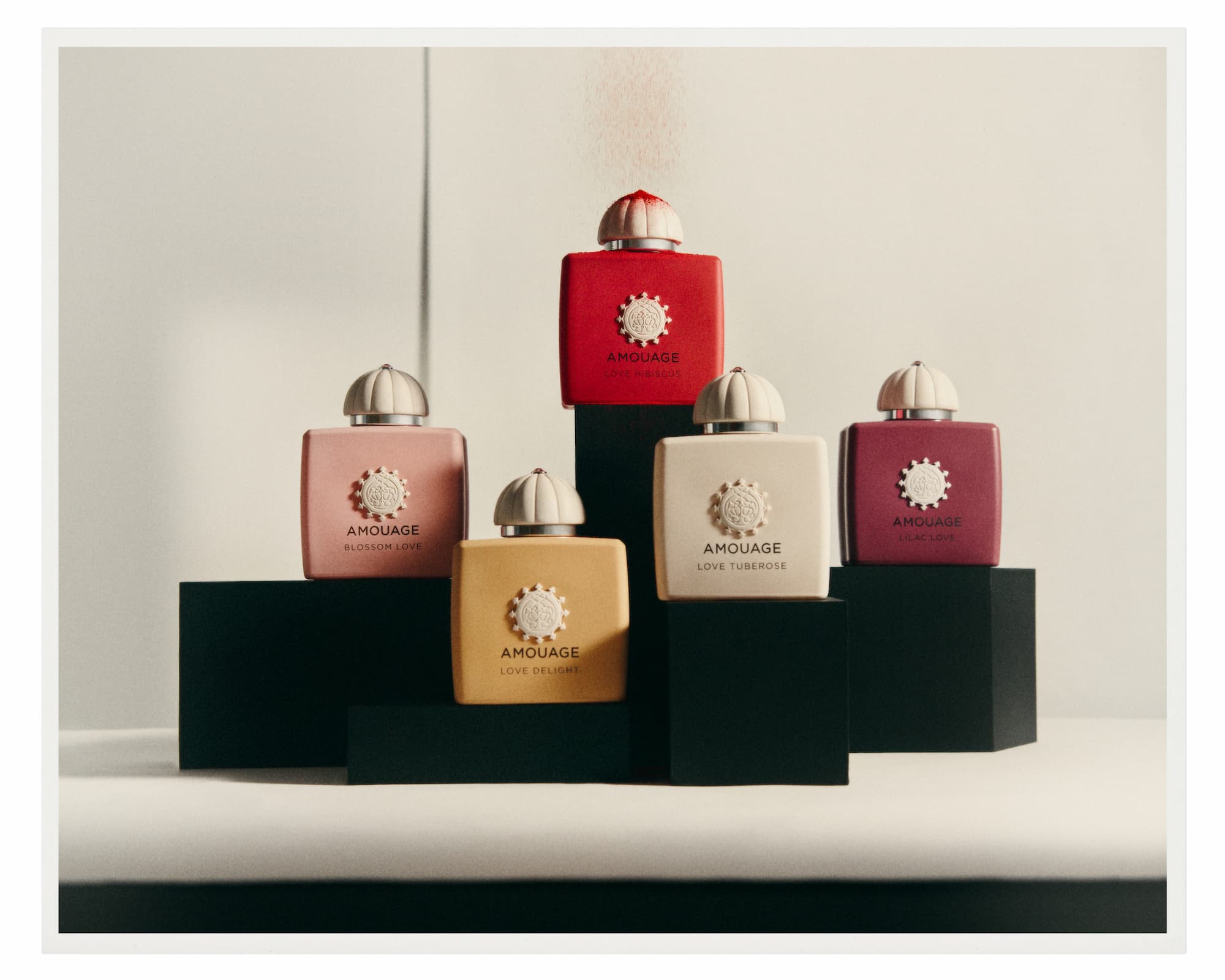 Secret Garden Collection