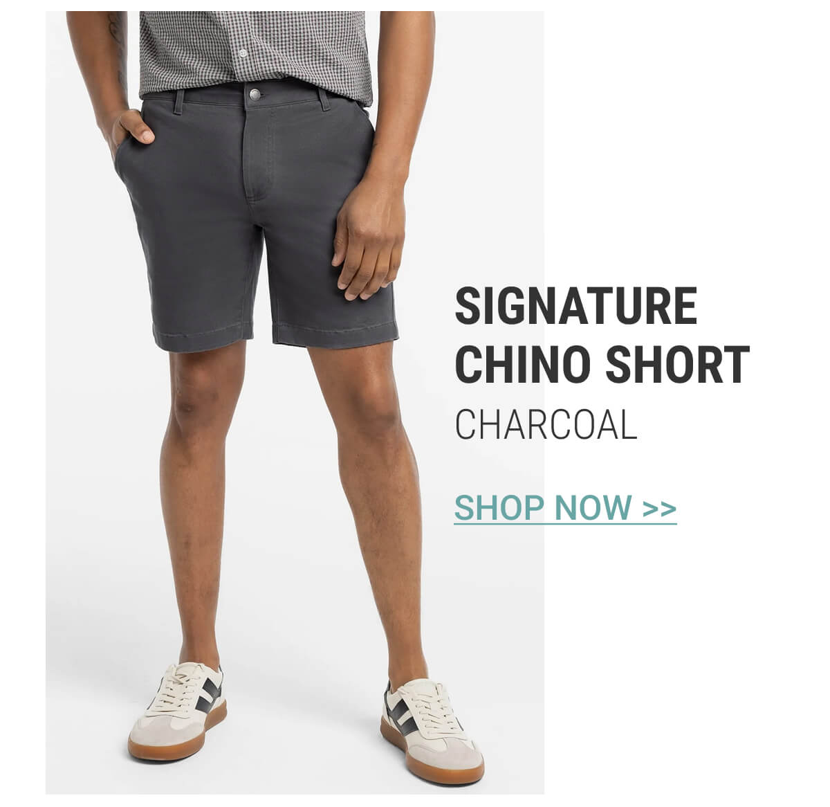 Charcoal Signature Chino