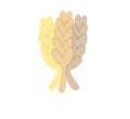 Grains Getaway
