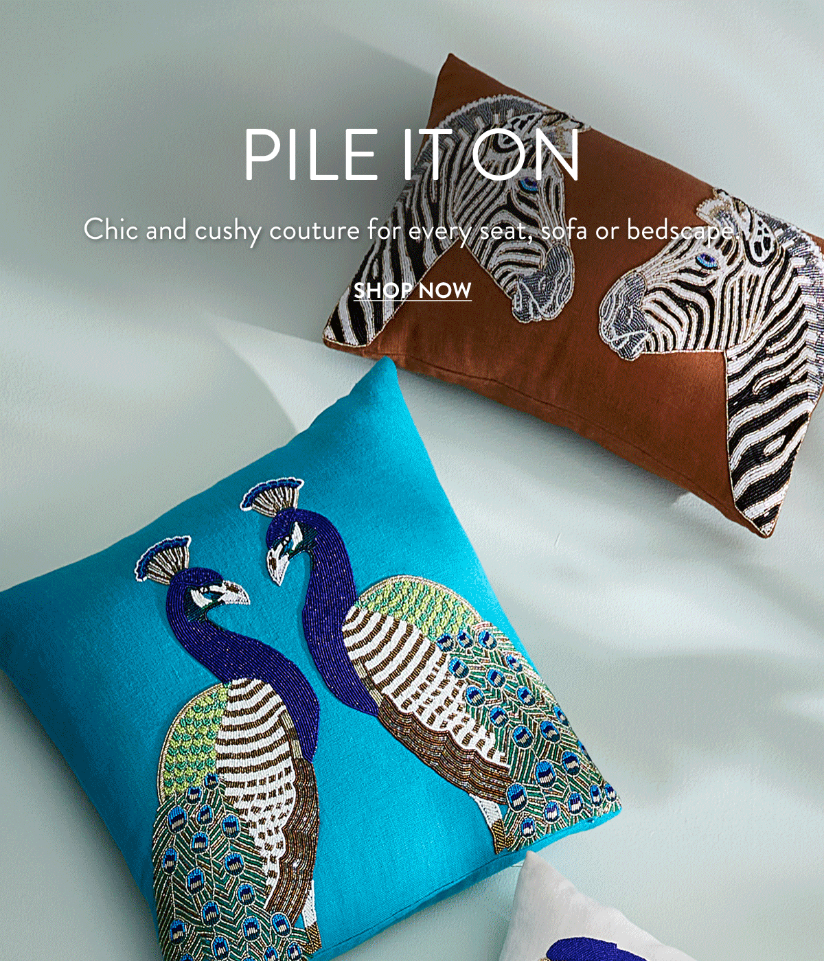 Shop Pillows