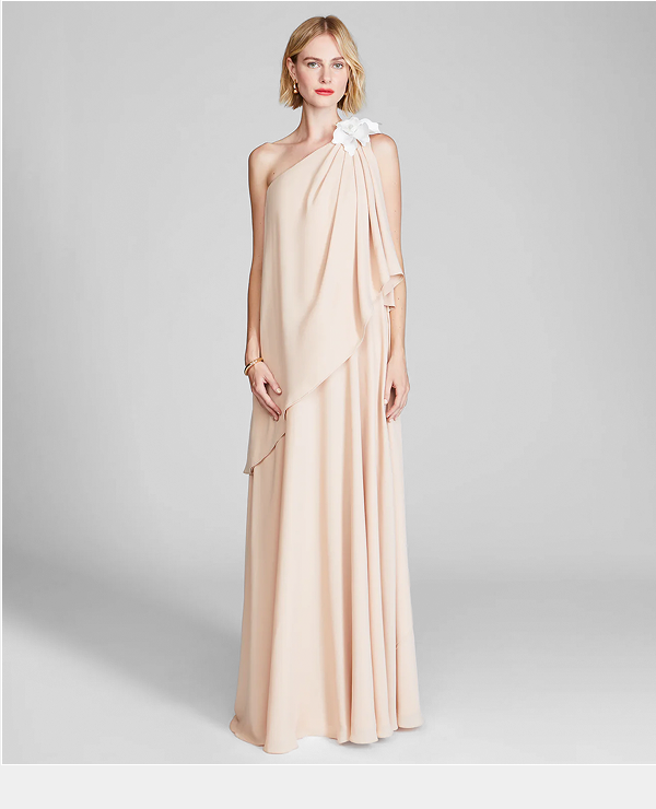 Solena Georgette Gown