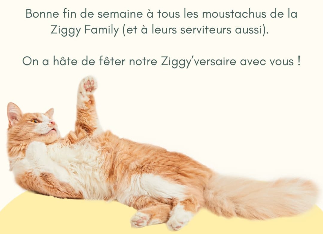 Ziggy