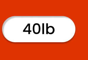 40lb