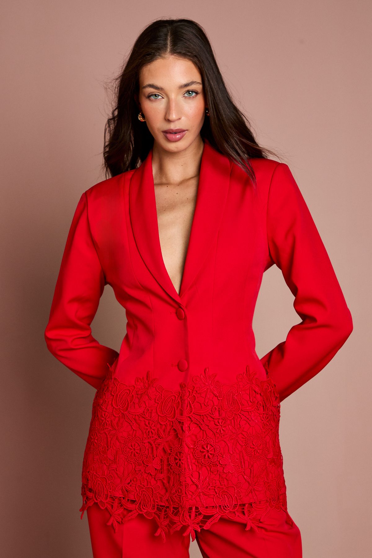 Single Breasted Lace Trim Fitted Blazer