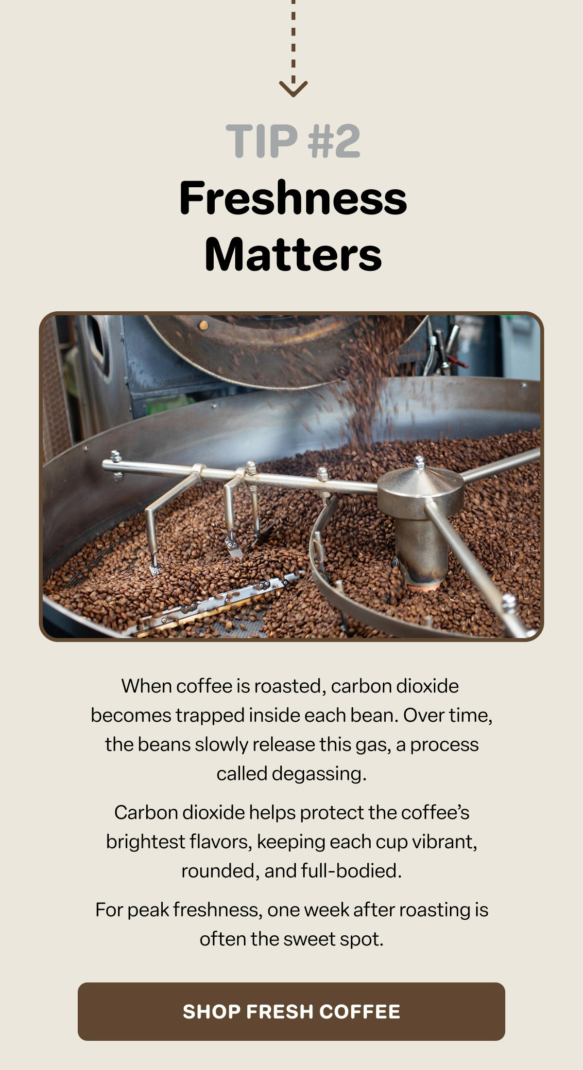 Shop Fresh Coffee