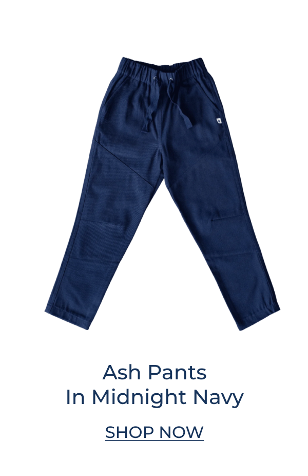 Ash Pants In Midnight Navy
