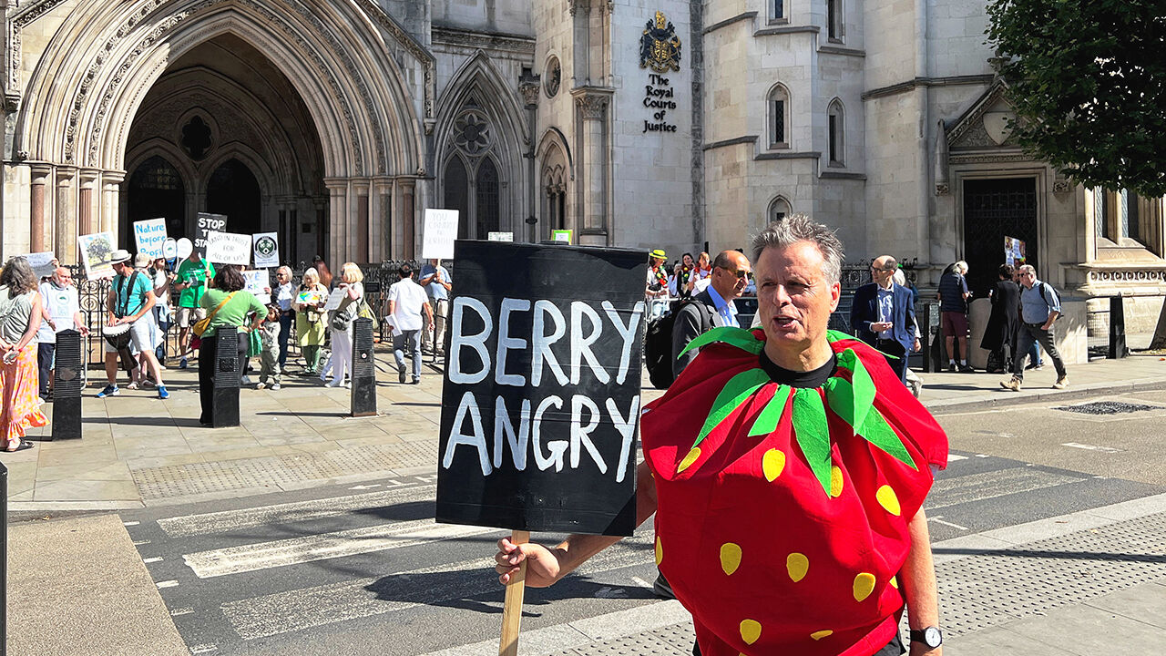 A protestor, dressed as a strawberry, holds a sign which says Berry Angry outside the Real Courts of Justice in London