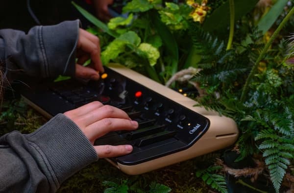 Two hands play an Orchid in a bed of lush flowers.