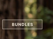Bundles