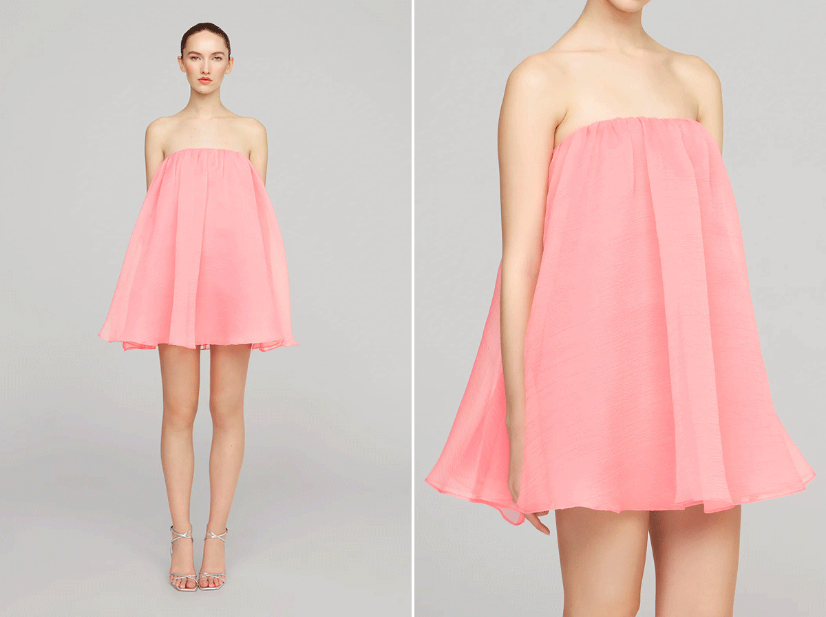 Charlie Textured Organza Mini Dress