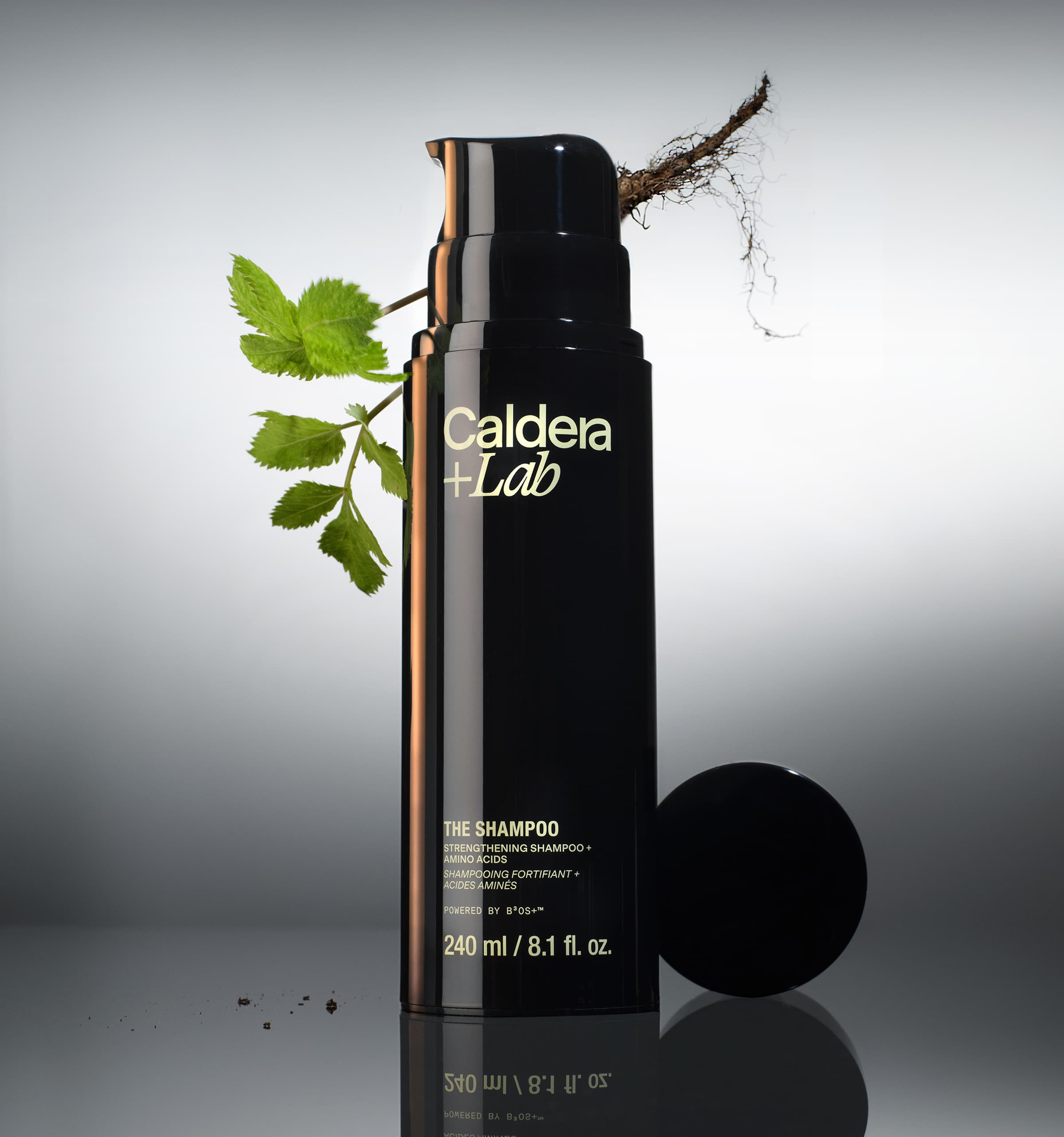A picture of The Shampoo