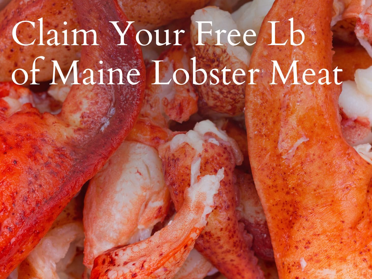 Maine Lobster Meat