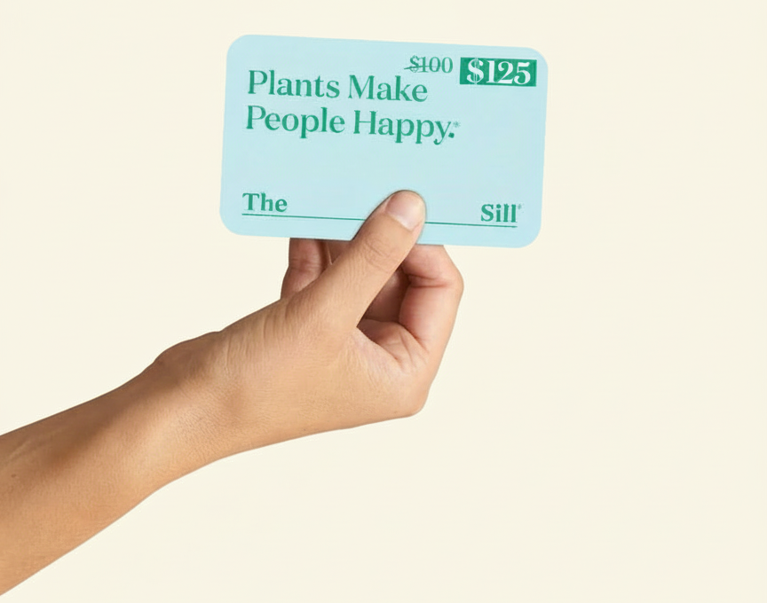 Digital Gift Card with Bonus Bucks