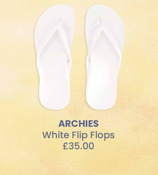 ARCHIES Image